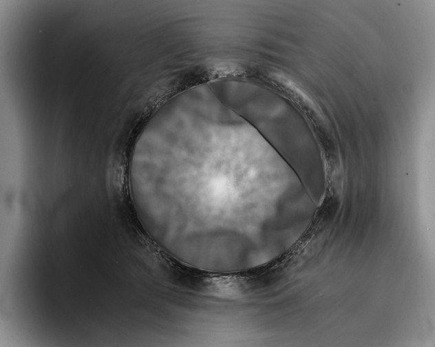 X0000096380417200802211125