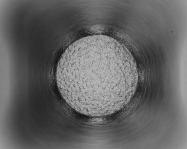 X0000096380418200802211125