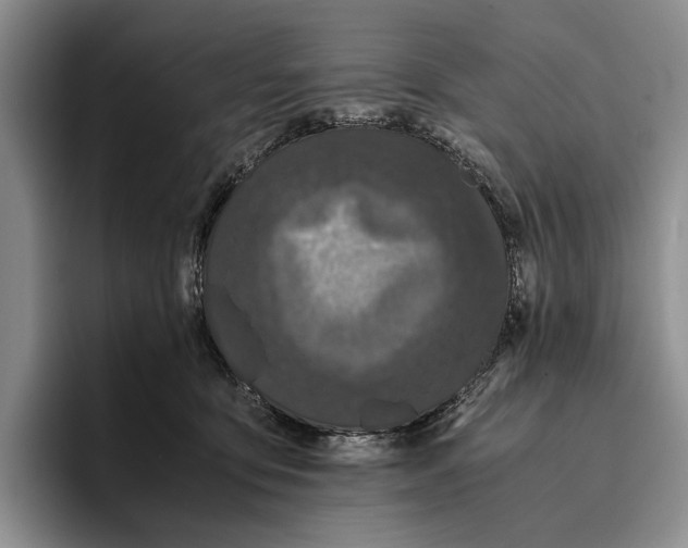 X0000096380419200802211125