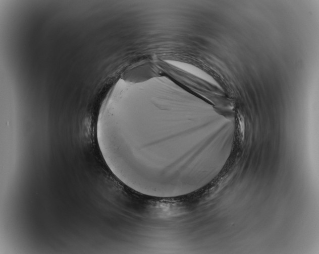 X0000096380420200802211125