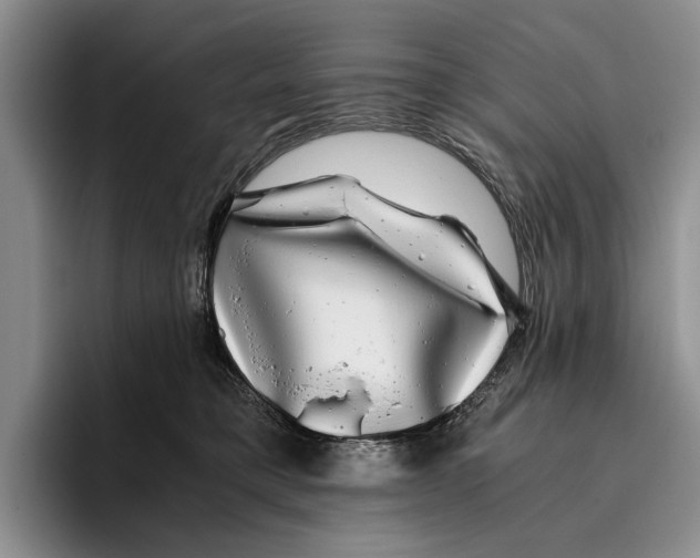 X0000096380421200802211125