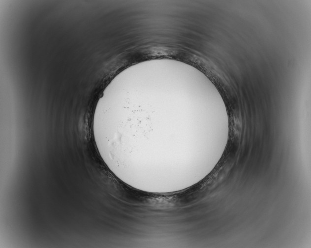 X0000096380422200802211125