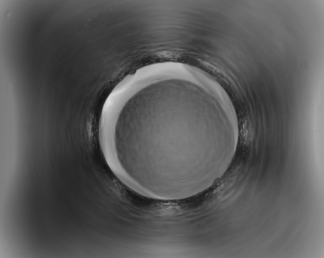 X0000096380424200802211125