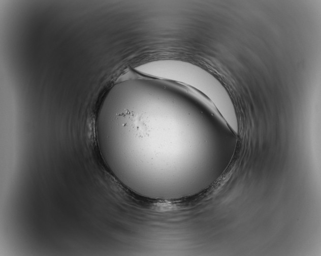 X0000096380425200802211125