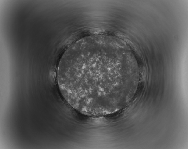 X0000096380427200802211125