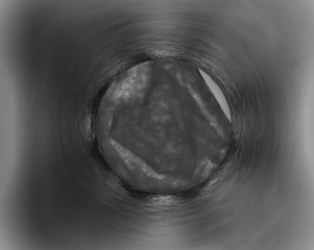 X0000096380428200802211125