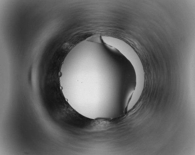 X0000096380429200802211125