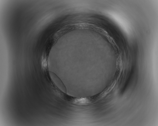 X0000096380431200802211125