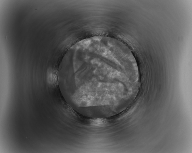 X0000096380432200802211125