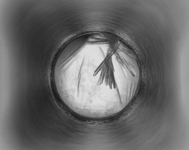 X0000096380434200802211124