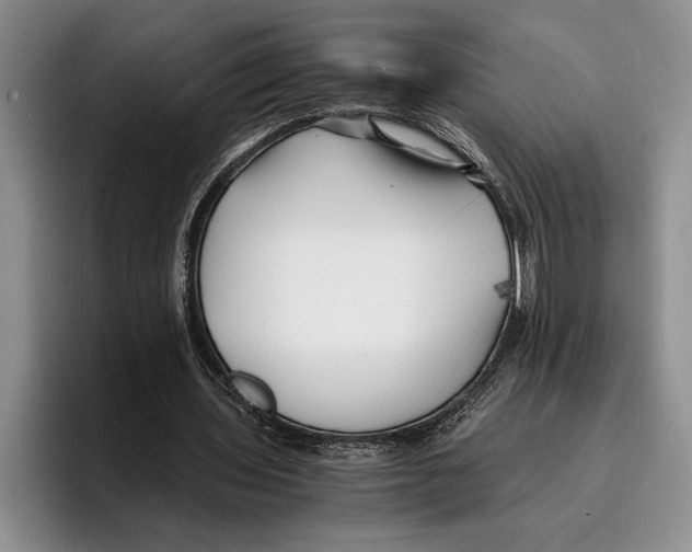 X0000096380435200802211124