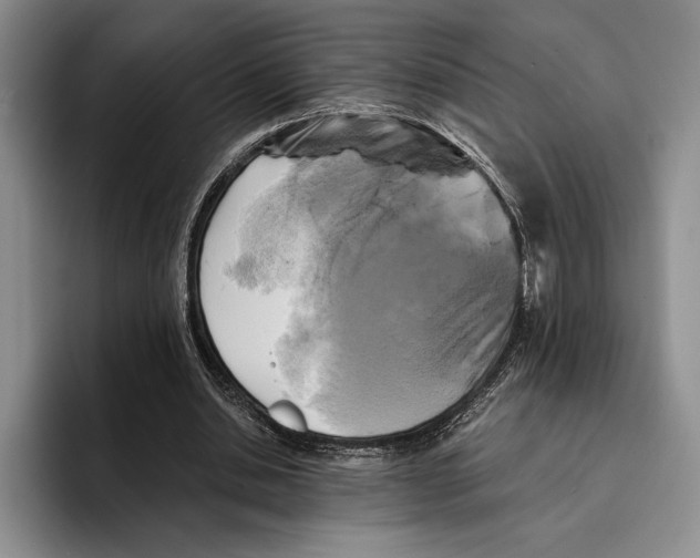 X0000096380438200802211124