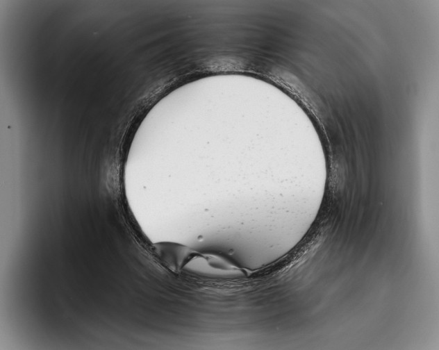 X0000096380441200802211124