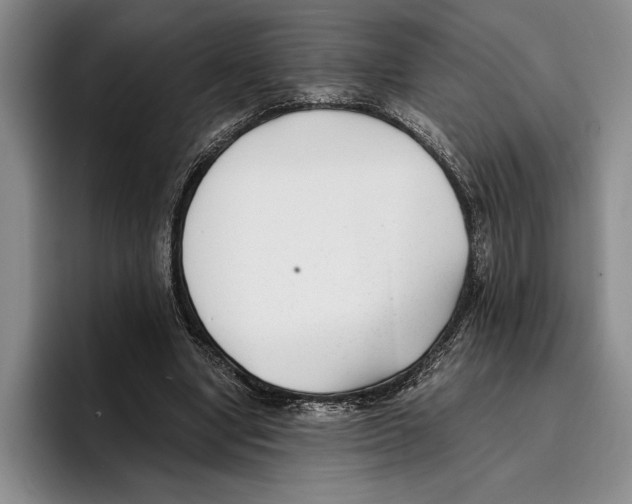 X0000096380442200802211124