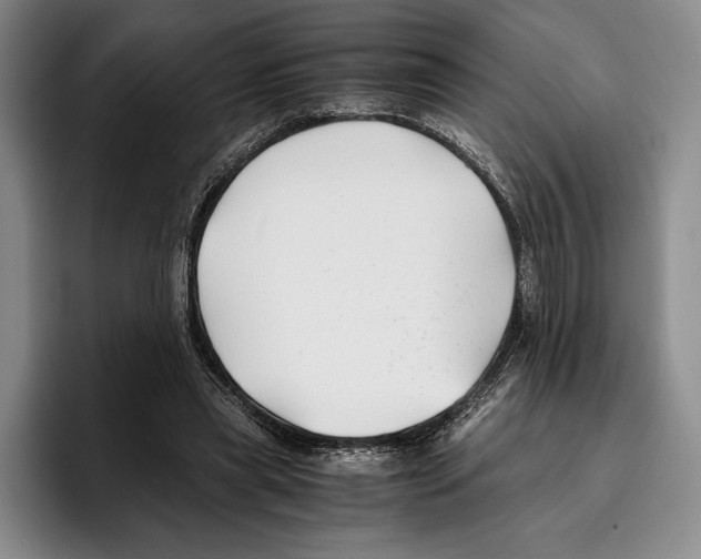 X0000096380445200802211124