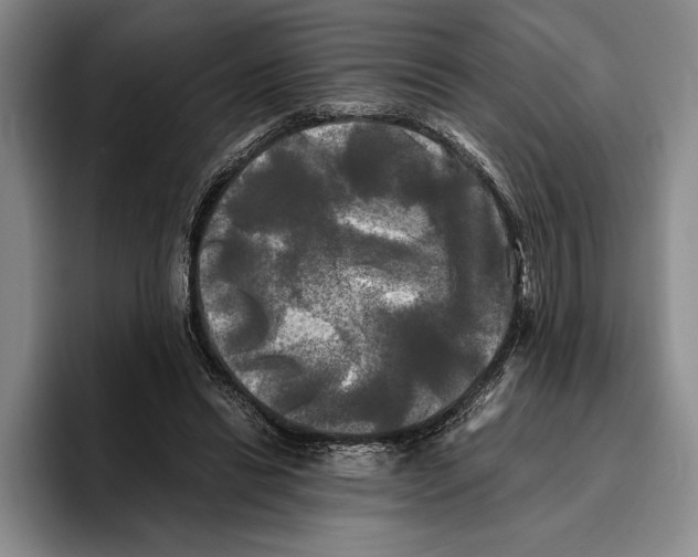 X0000096380446200802211124