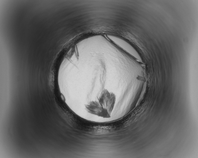 X0000096380448200802211124