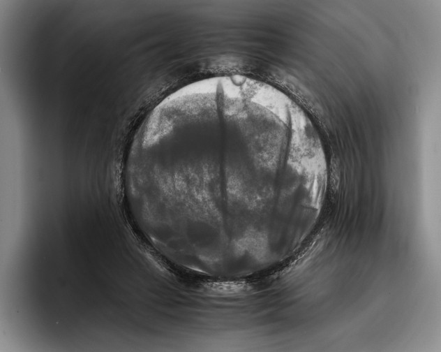 X0000096380449200802211124