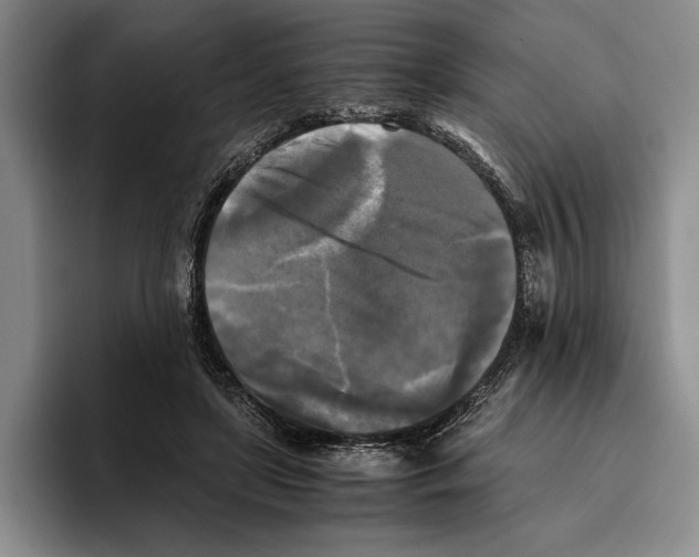 X0000096380451200802211124