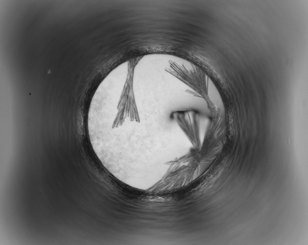 X0000096380453200802211124
