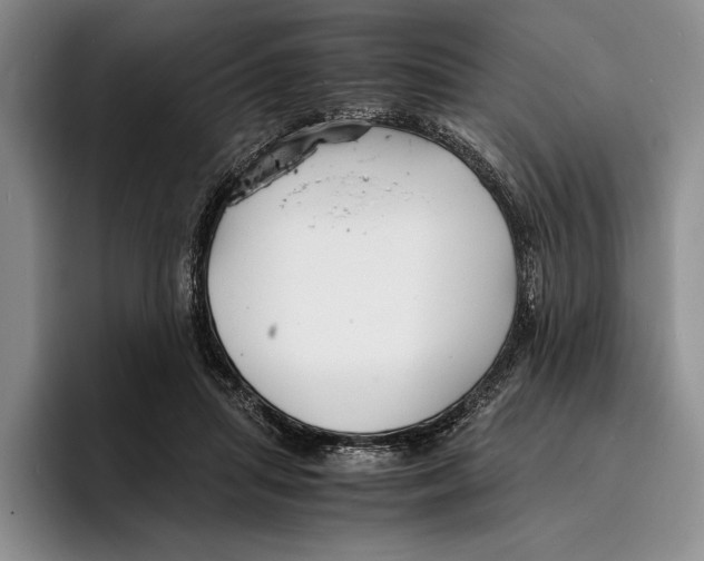 X0000096380455200802211124