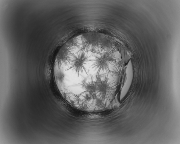 X0000096380456200802211124