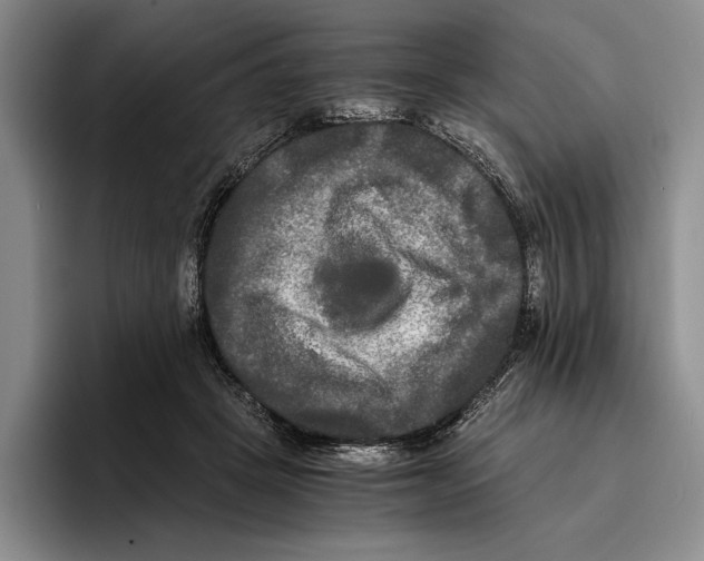 X0000096380457200802211124