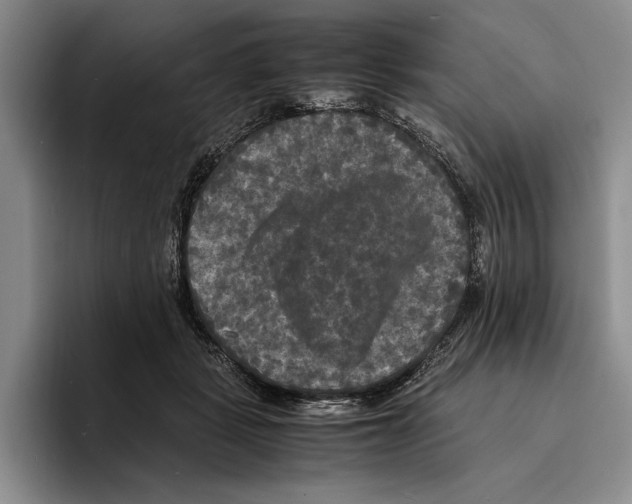 X0000096380461200802211125