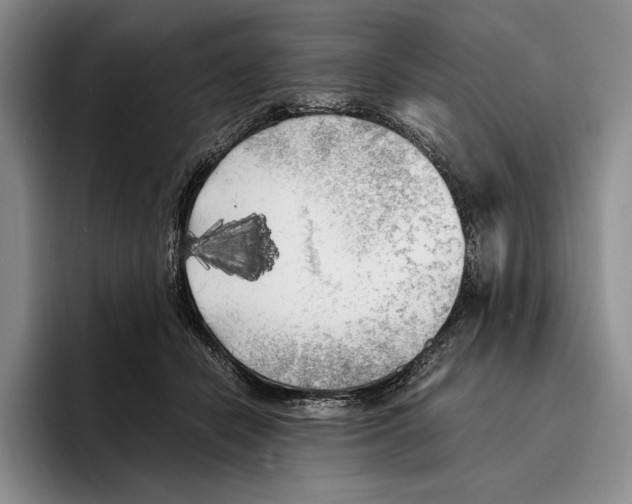 X0000096380462200802211125