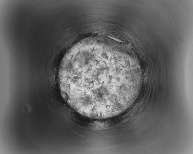 X0000096380464200802211125