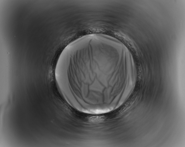 X0000096380465200802211125