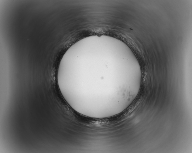 X0000096380466200802211125