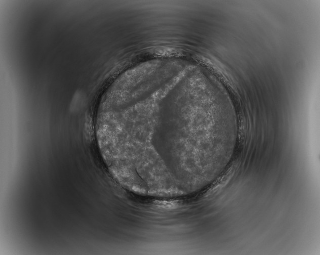 X0000096380469200802211125