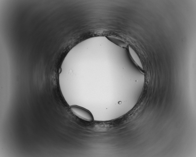 X0000096380470200802211125