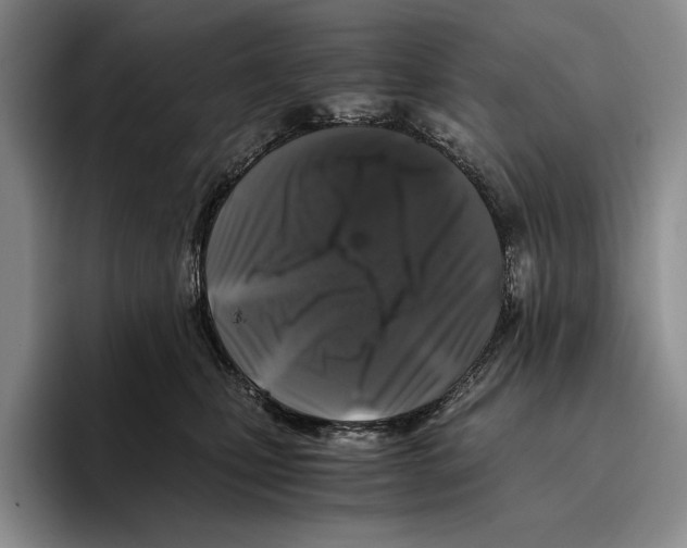 X0000096380471200802211125