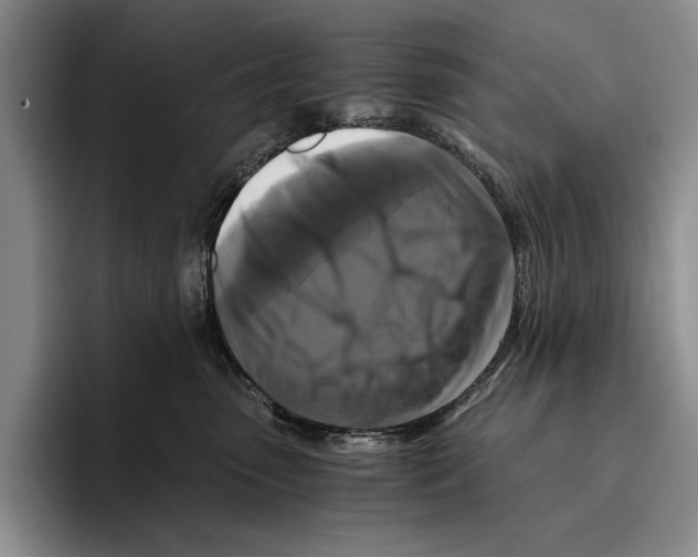 X0000096380475200802211125