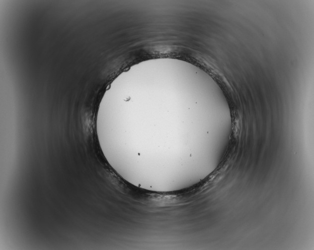 X0000096380476200802211125