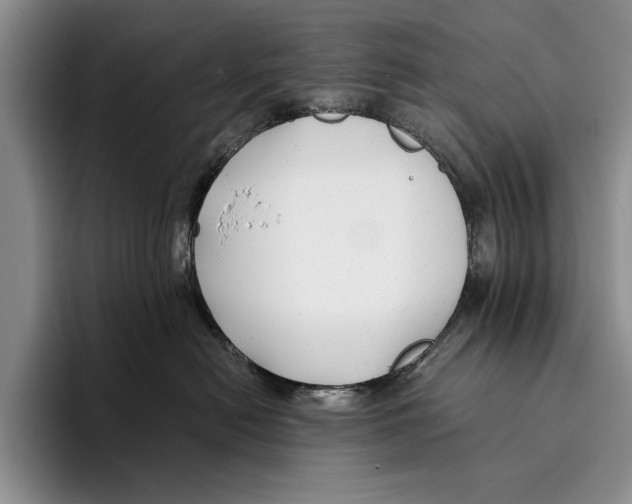 X0000096380478200802211125