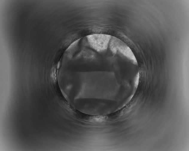 X0000096380479200802211125