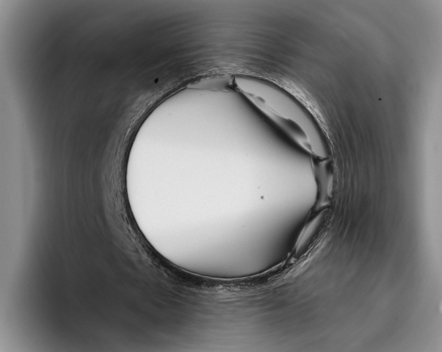 X0000096380481200802211124