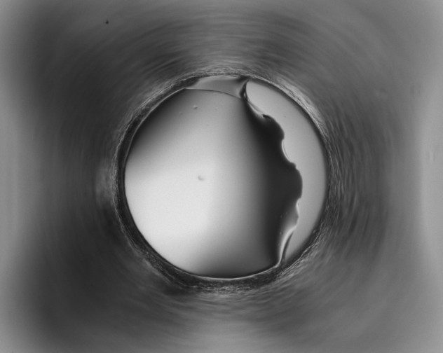 X0000096380485200802211124