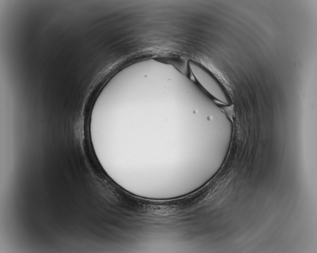 X0000096380486200802211124