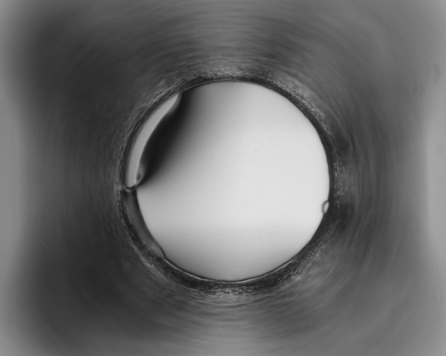 X0000096380489200802211124