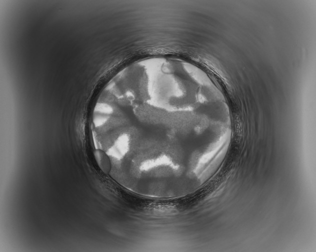 X0000096380491200802211124