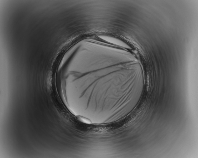 X0000096380492200802211124