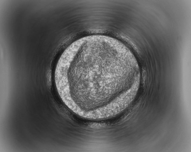 X0000096380494200802211124