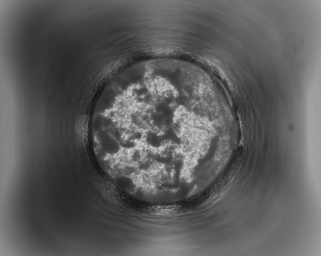 X0000096380495200802211124