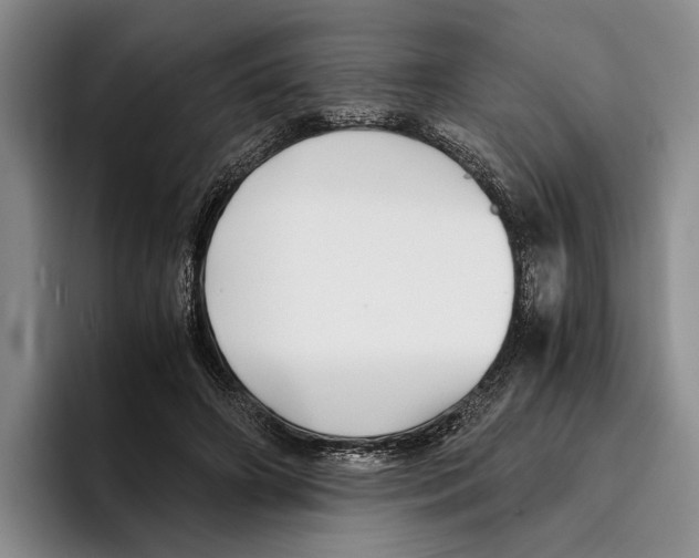 X0000096380498200802211124