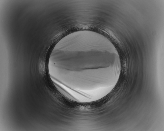 X0000096380500200802211124