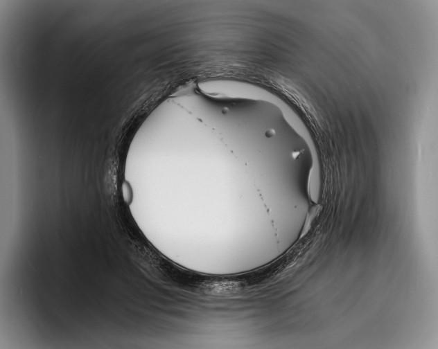 X0000096380501200802211124